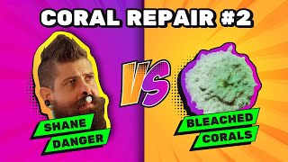 Damaged Coral, Moving Coral | Feat. Shane Danger