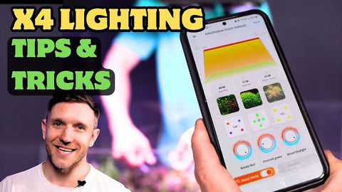 DALUA Ecosystem App for X4 – Full Features & Remote Lighting Control