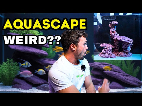 Reef Aquascaping with Marco Rocks | Weird or Wonderful?