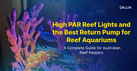 High PAR Reef Lights and the Best Return Pump for Reef Aquariums: A Complete Guide for Australian Reef Keepers