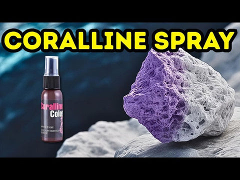 Marco Rock Coralline Purple Spray | Instantly Restore Your Reef Rock! 🎨🪨