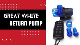 Great White Return Pump Unboxing