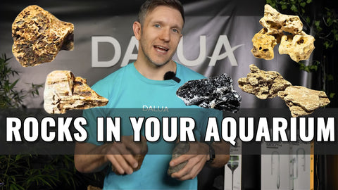 Aquarium Rocks Guide: 7 Stunning Rock Types Their Effects on Water Chemistry | DALUA Fresh Rock Range