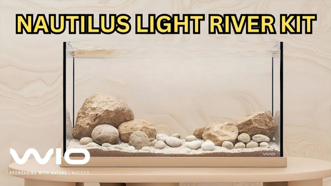 Create a Lake Malawi & Bonito-Inspired Aquascape with This Complete Natural Habitat Kit