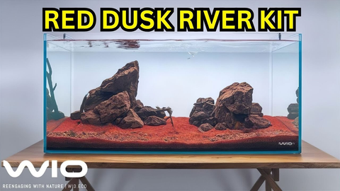 WIO Red Dusk River Kit Unboxing & Aquascape