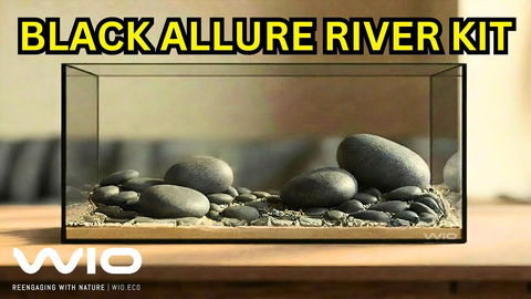 WIO Black Allure River Kit Unboxing & Aquascape