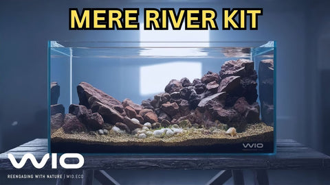 Create a Congo-Inspired Aquascape with the Mere River Kit – Natural Warm Tones for Stunning Aquarium Design
