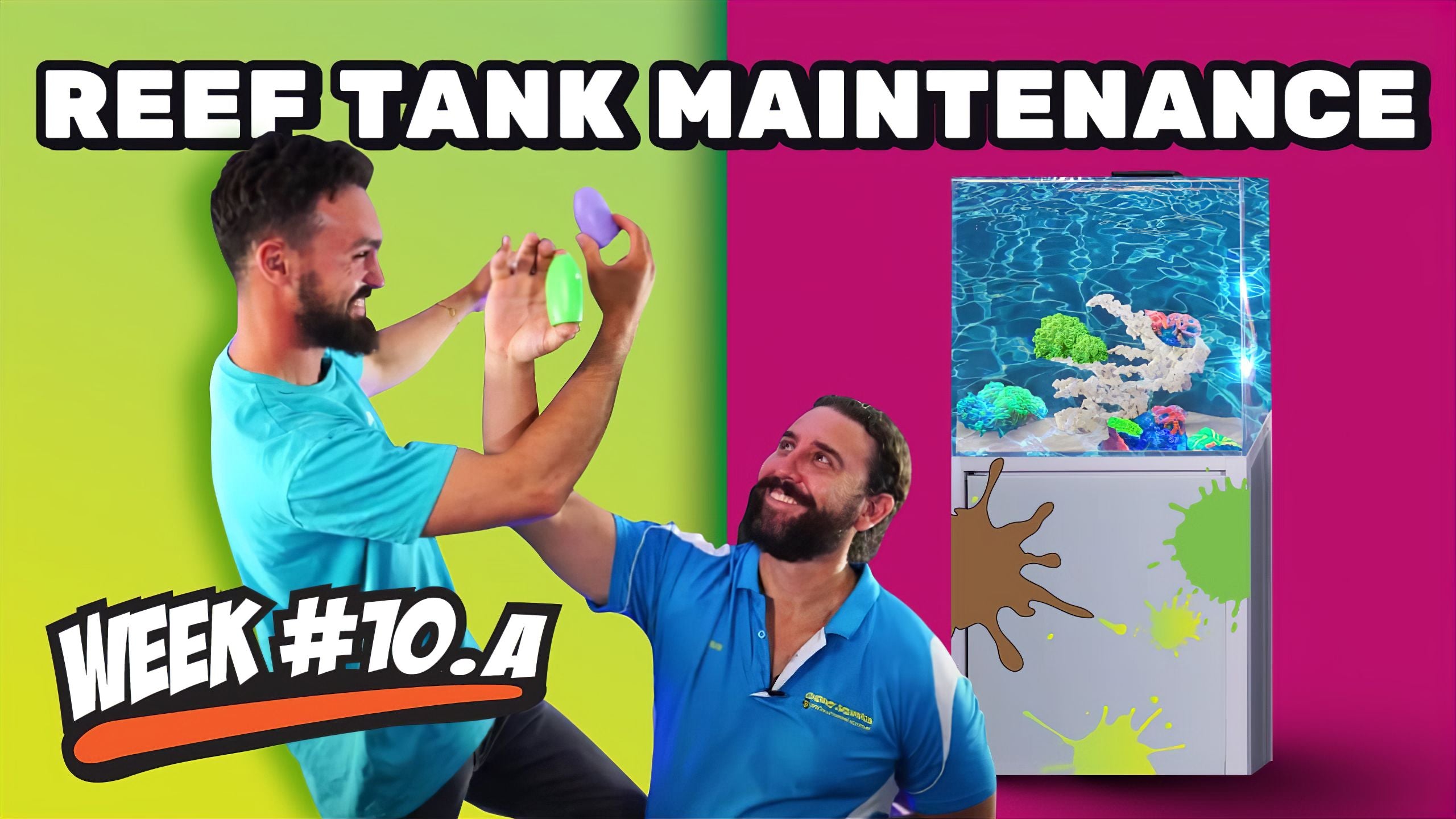How To Clean and Maintain Your Reef Tank | 12 Week Reef Video Tutorial ...