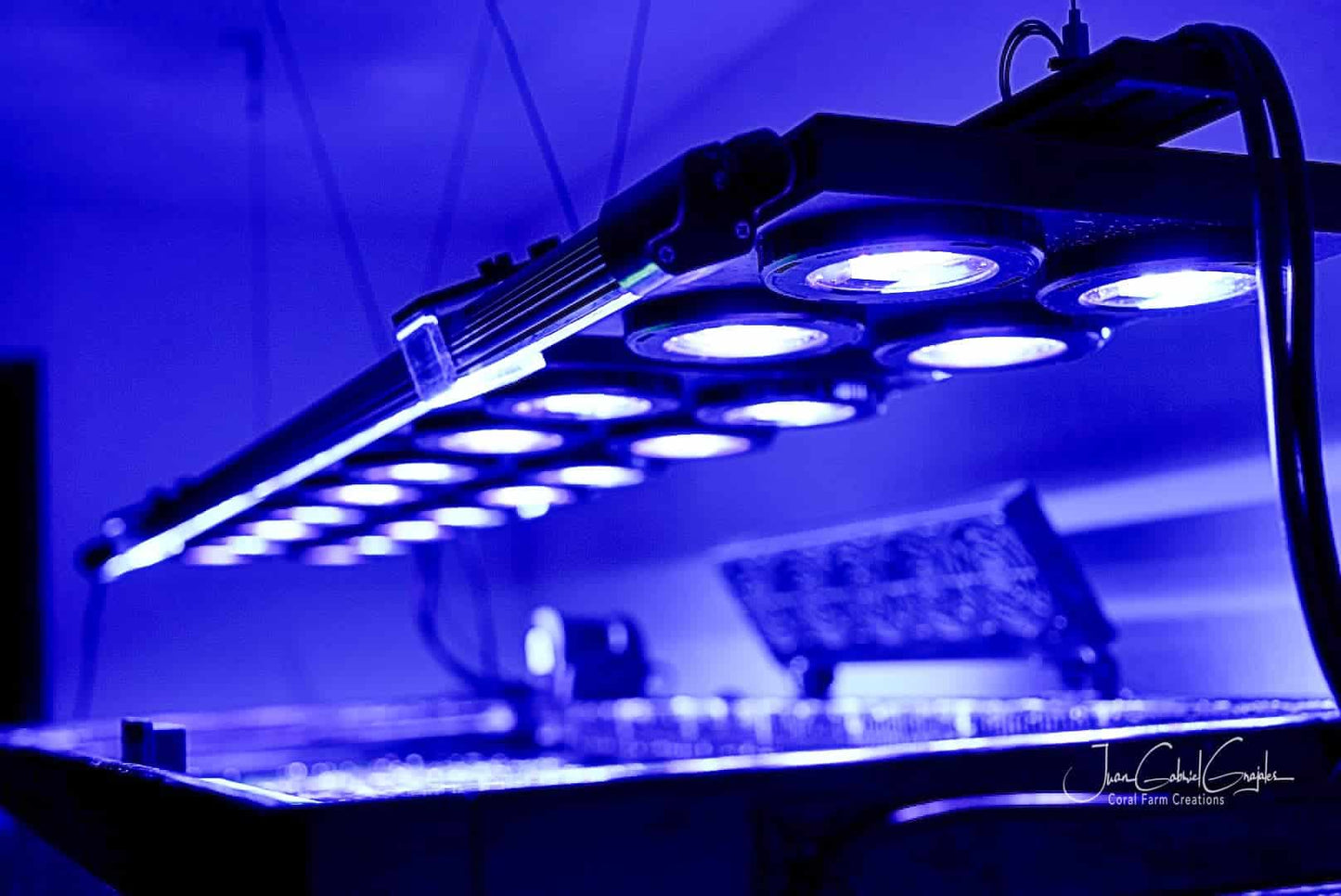 Beast Mode SPS Lighting Bundle