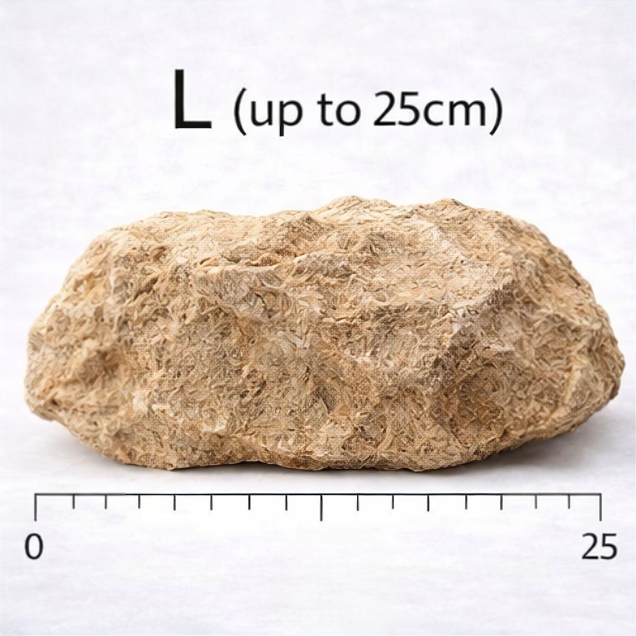 Lizard Rock (per kg)