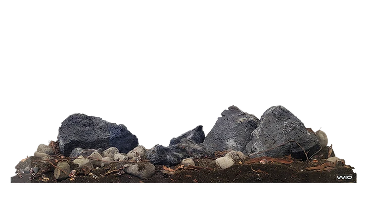 WIO - Beck River Kit