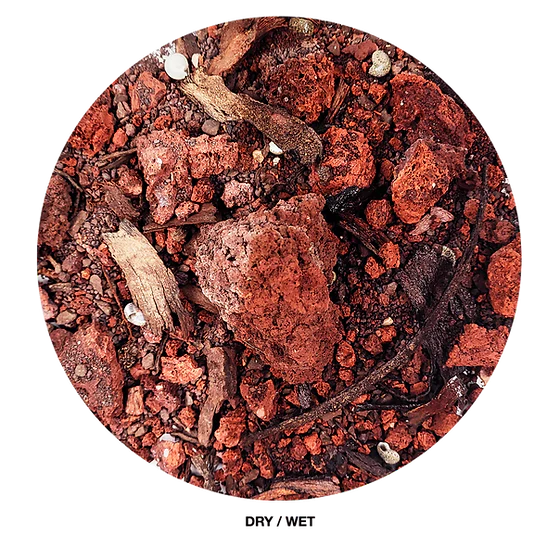 WIO - Crikey River Bed
