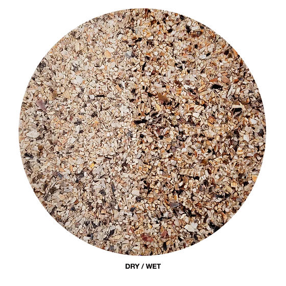 WIO - Shell Riverbed