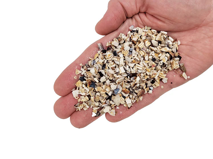 WIO - Shell Riverbed