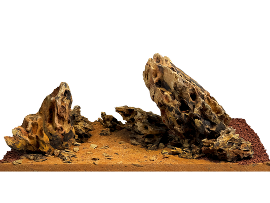 WIO - Amber Dragon River Kit