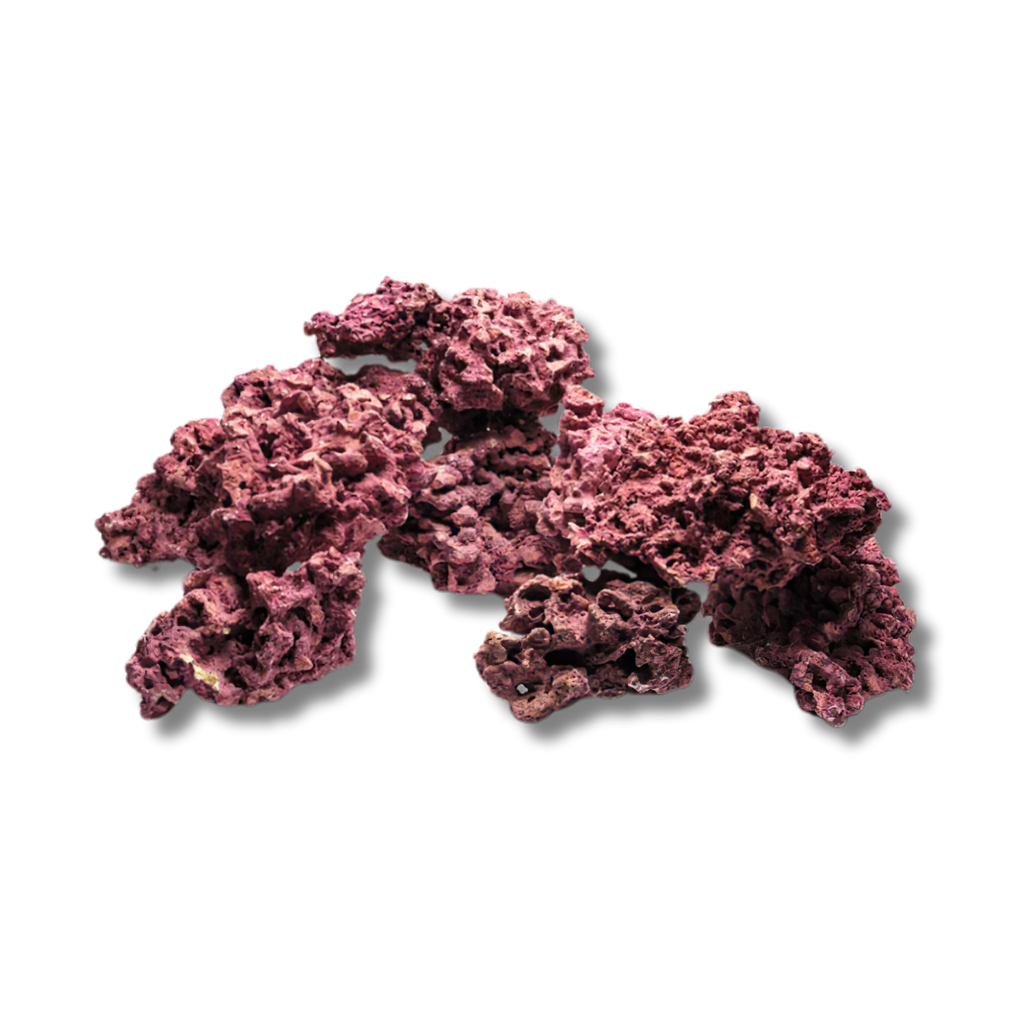 Marco Rocks Coralline