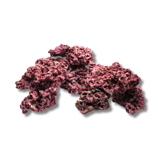 Marco Rocks Coralline