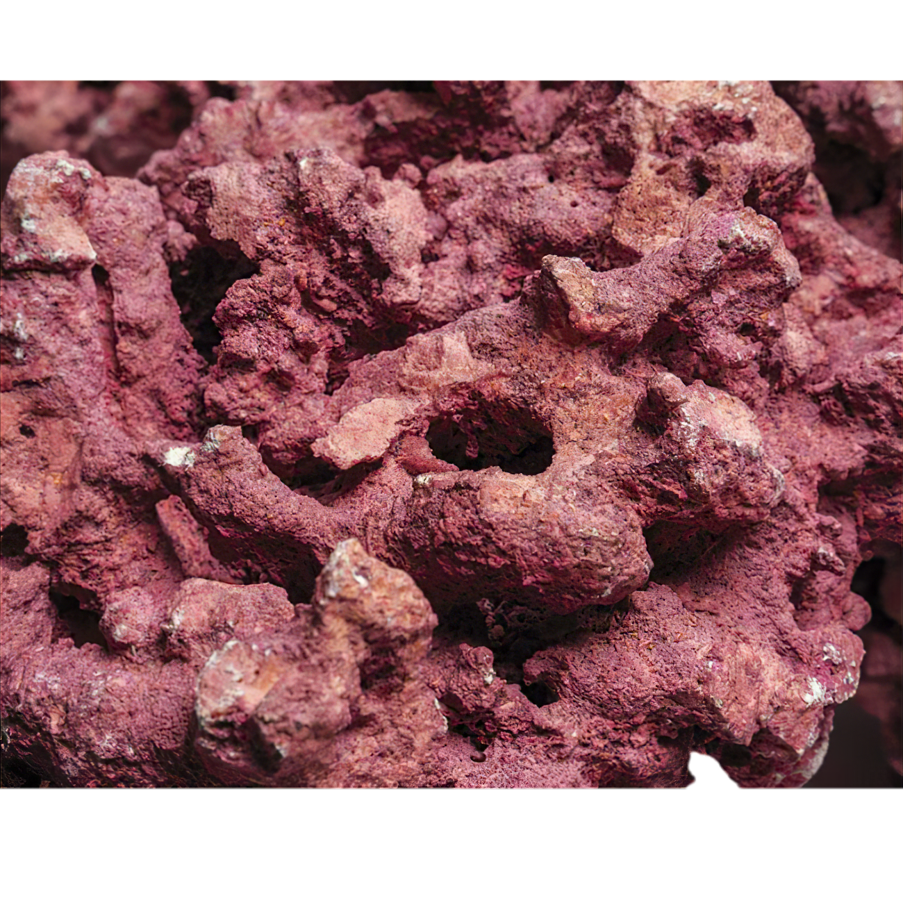 Marco Rocks Coralline