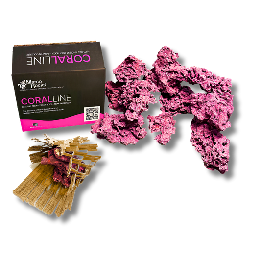 Marco Rocks Coralline