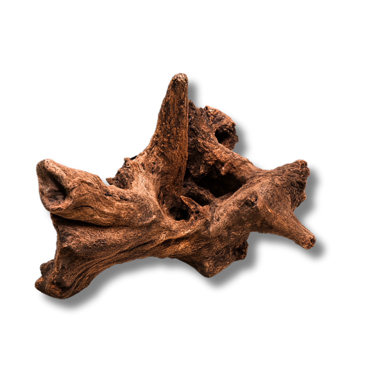 Driftwood River Series