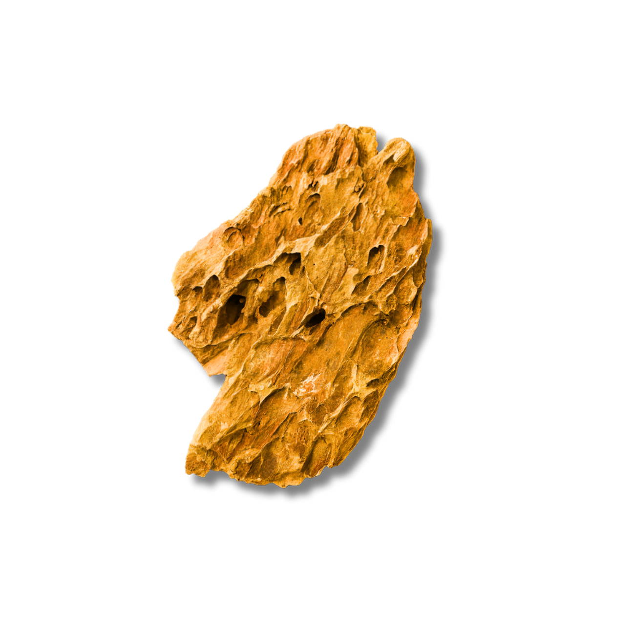 Brown rock-like object on a white background