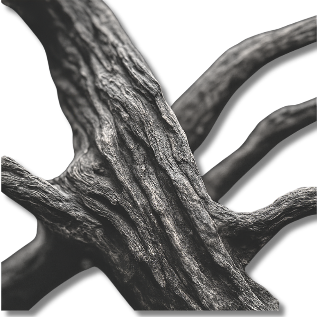 Haunted Wood