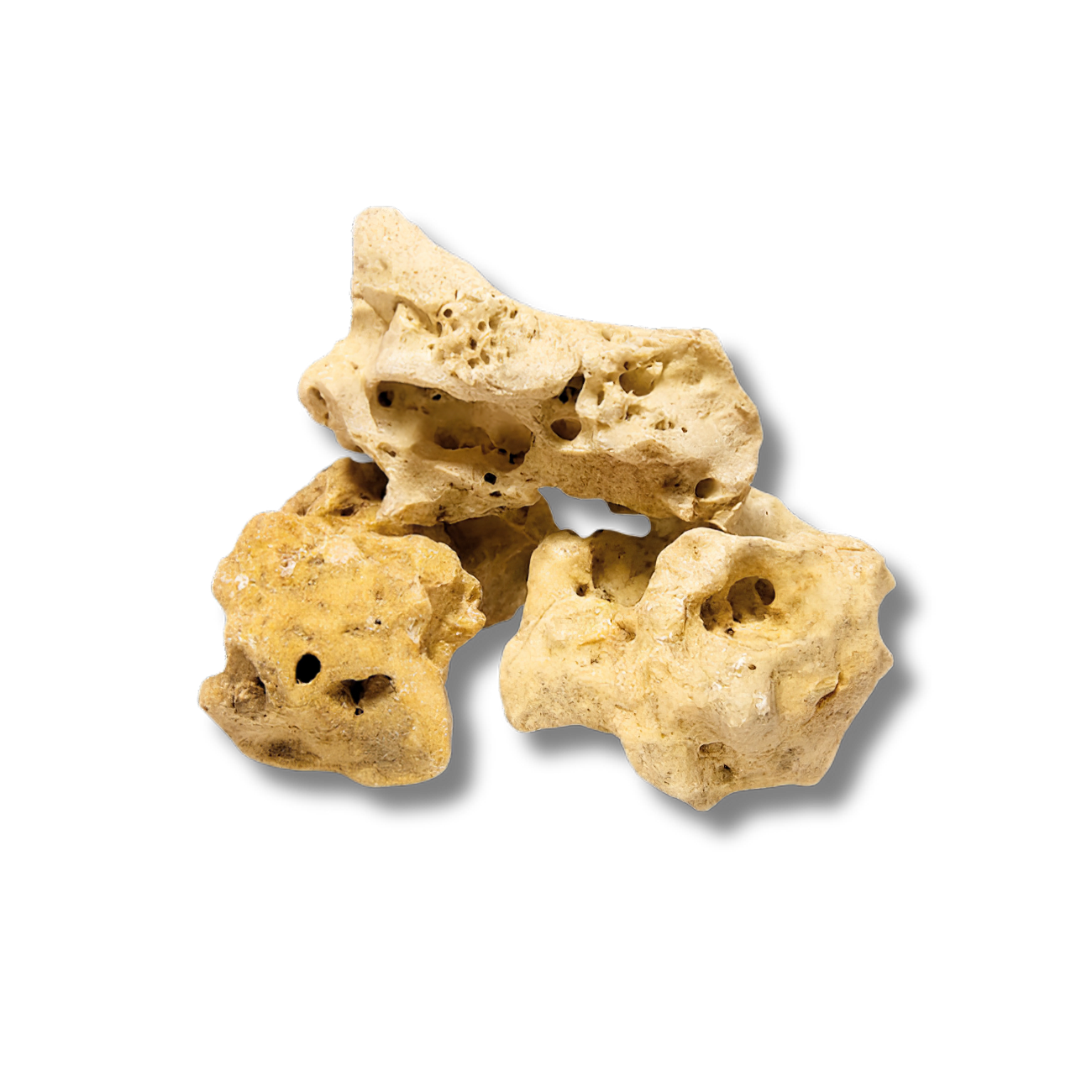 Holey Rock