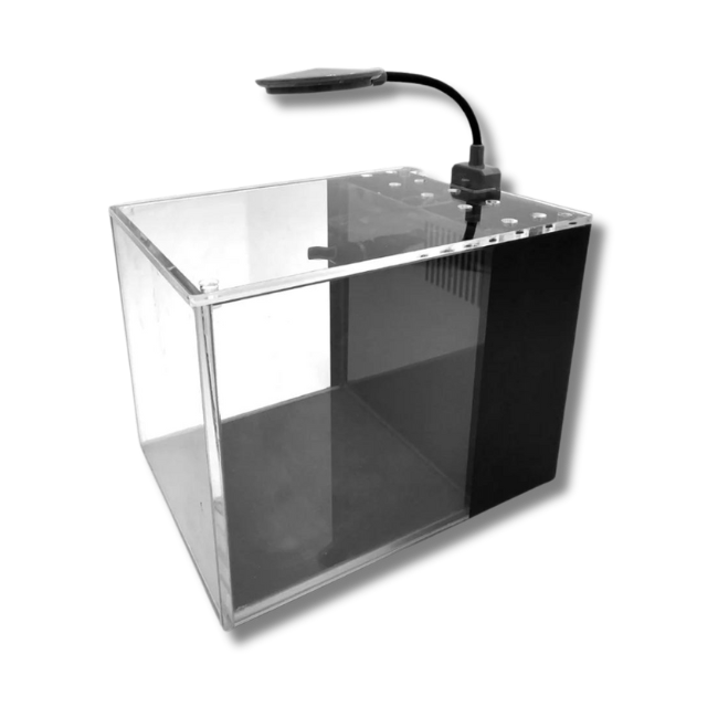 Small In One Peninsula 4L