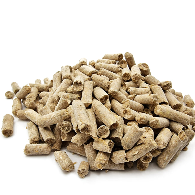 Shrimp & Fish Bottom Feeder by SAS