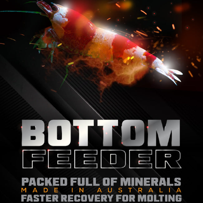 Shrimp & Fish Bottom Feeder by SAS