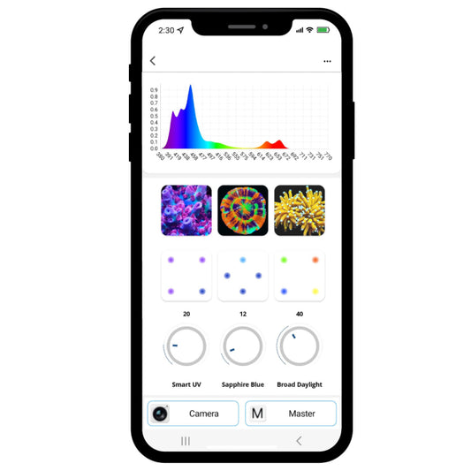 Blaze X WIfi Upgrade