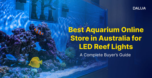 Aquarium Online Store in Australia for LED Reef Lights: A Complete Buyer’s Guide
