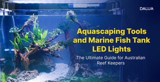 Aquascaping Tools and Marine Fish Tank LED Lights: The Ultimate Guide for Australian Reef Keepers