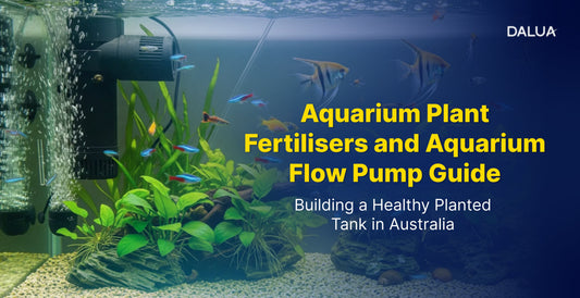 Aquarium Plant Fertilisers and Aquarium Flow Pump Guide: Building a Healthy Planted Tank in Australia