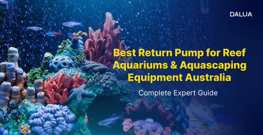 Best Return Pump for Reef Aquariums & Aquascaping Equipment Australia Complete Expert Guide