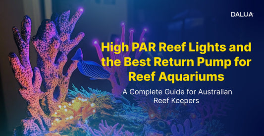 High PAR Reef Lights and the Best Return Pump for Reef Aquariums: A Complete Guide for Australian Reef Keepers