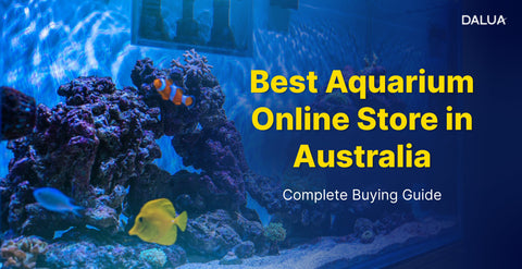 Best Aquarium Online Store in Australia – Complete Buying Guide