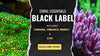 Enhance Coral Coloration with Coral Essentials CVE And Black Label Foods | Reef Aquarium Tips