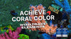 How To Maximize Any Color In Your Corals Using Coral Essentials