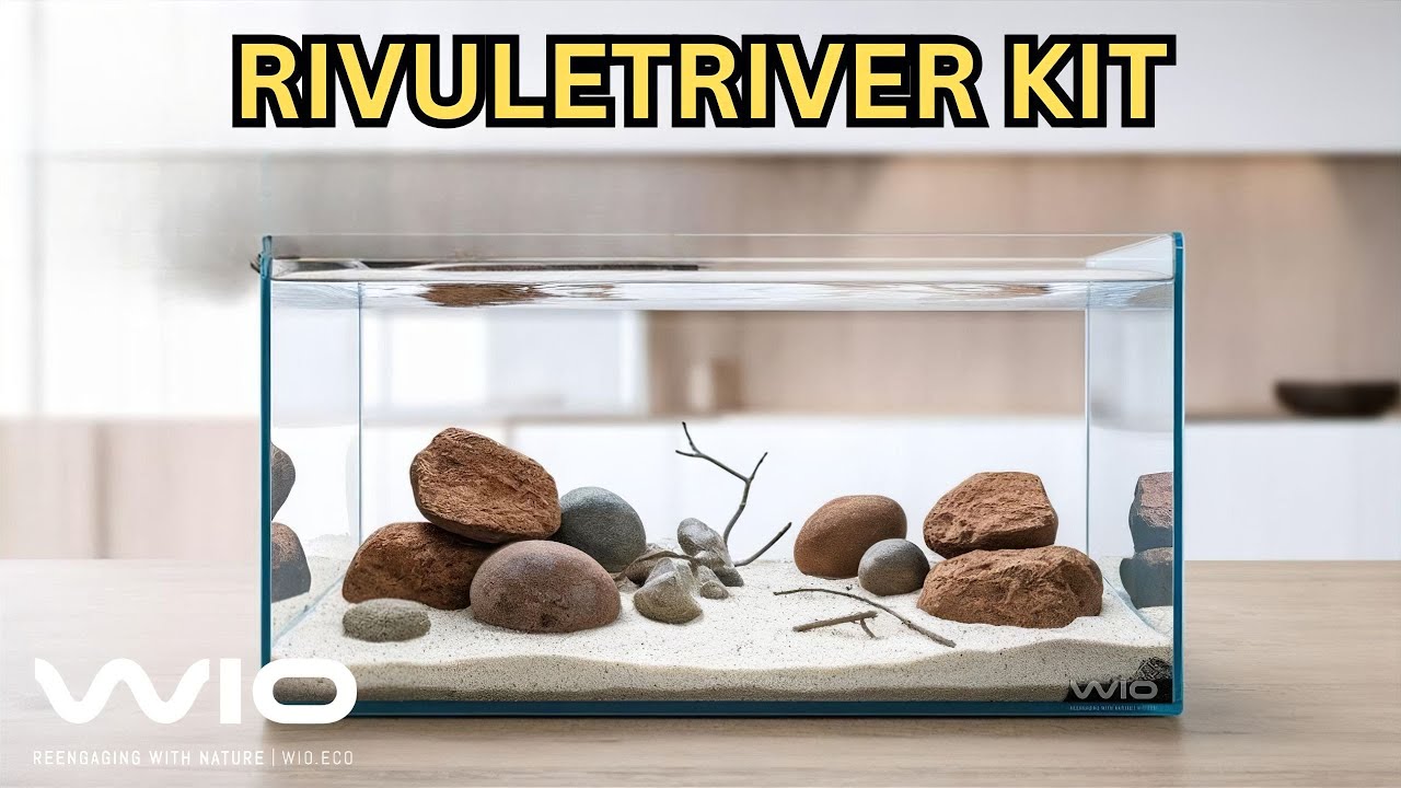 Build a Yakushima-Inspired Aquascape with the Rivulet River Kit | Natu ...