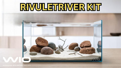 Build a Yakushima-Inspired Aquascape with the Rivulet River Kit | Natural Japanese River Biotope