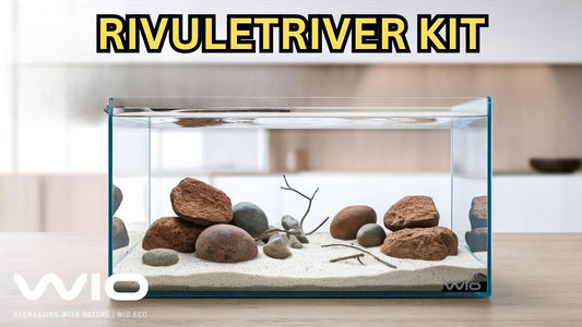 Build a Yakushima-Inspired Aquascape with the Rivulet River Kit | Natural Japanese River Biotope