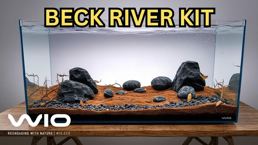 Create a Moody, Volcanic-Inspired Aquascape with the Beck River Kit