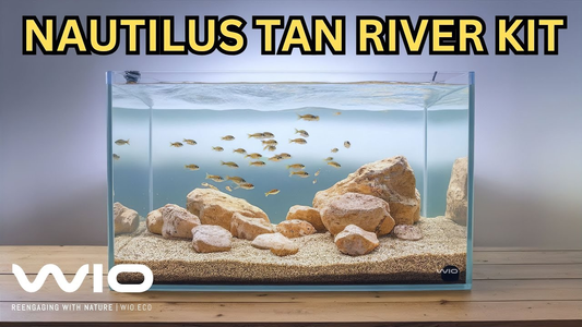 Create a Natural African Biotope Aquascape with the Nautilus Tan River Kit