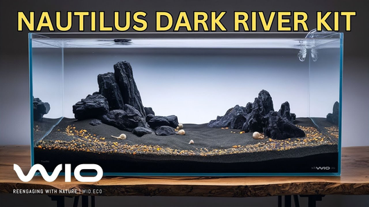Transform Your Aquarium with the Nautilus Dark River Kit: Inspired by Lake Turkana & Pantanal Wetlands