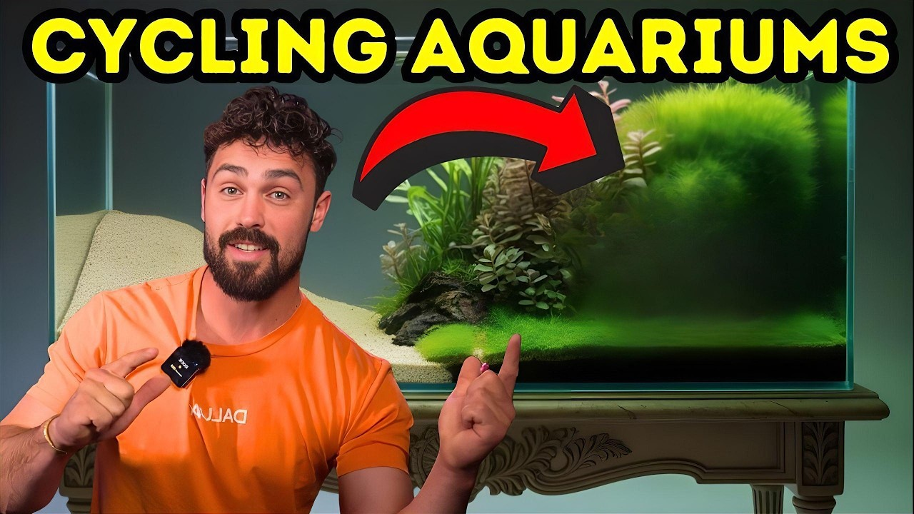 Illustration of How To Informally Cycle A Fish Tank
