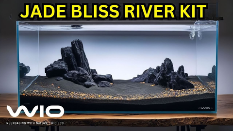 WIO Jade Bliss River Kit Unboxing & Aquascape