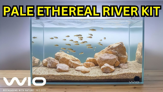 WIO Pale Ethereal River Kit Unboxing & Aquascape