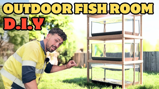Build an Outdoor Fish Room DIY Guide