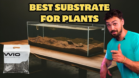 Planted Aquarium Growth Hack with WIO Powervol